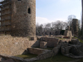 Ruine Neideck (2)